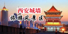 俄罗斯少女撒尿汇编中国陕西-西安城墙旅游风景区